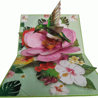 Pop-up groene kolibrie kaart